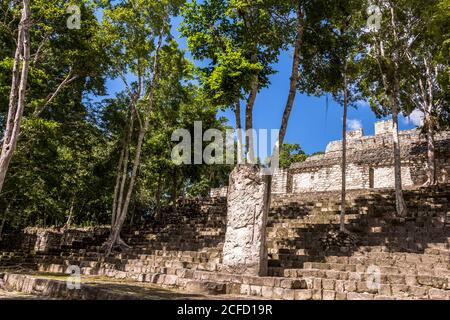 Escalier surcultivé de la pyramide maya sur le site du temple de Calakmul, péninsule du Yucatan, Mexique Banque D'Images