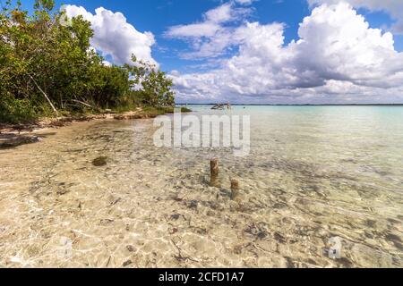 Eau peu profonde au lagon de 7 couleurs à Bacalar, Quintana Roo, péninsule du Yucatan, Mexique Banque D'Images