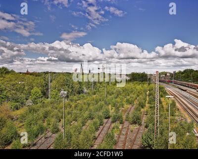 Système de transport ferroviaire, biotope sur des voies ferrées désutilisées, chantier marécageux de Lüneburg, symbiose de la technologie et de la nature, la nature est en train de reprendre Banque D'Images