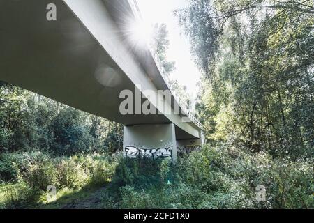 Architecture, technologie et nature, sous un pont, superstructure contre la lumière, spot solaire avec rayons de lumière, végétation sur les rives du Banque D'Images