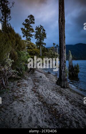 Ambiance nocturne sur les rives du lac Brunner, île du Sud, Nouvelle-Zélande Banque D'Images