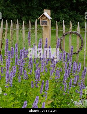 Petit hôtel d'insectes fait de tubes et de cônes de bambou, sur une clôture, pâturage d'abeille en face Banque D'Images