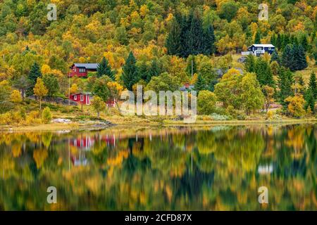 Maisons en forêt automnale reflétées dans le lac, Svolvaer, Lofoten, Nordland, Norvège Banque D'Images