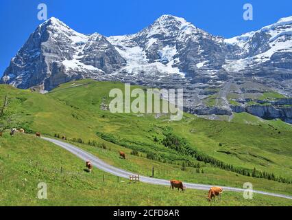 Wengernalp avec Eiger et Moench, Wengen, région de la Jungfrau, Alpes bernoises, Oberland bernois, canton de Berne, Suisse, Patrimoine naturel mondial de l'UNESCO Banque D'Images