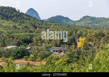 Vue sur la jungle depuis Wat Laem Sak - Temple de la baie de Phang Nga, Laem Sak. Région de Krabi, Thaïlande Banque D'Images