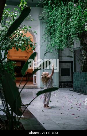 Marrakech, Maroc - 22 octobre 2018 : vue arrière d'un tout-petit blond sans visage debout sur la véranda et atteignant de grandes plantes vertes Banque D'Images