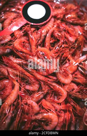 Du dessus de la boîte avec des crevettes rouges fraîches Banque D'Images