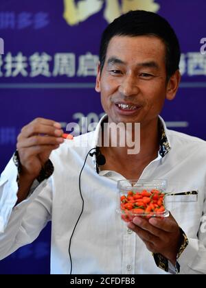 (200905) -- DELIGHA, 5 septembre 2020 (Xinhua) -- Li Fuwen fait la promotion de ses baies de goji pendant un cours d'eau vivant dans la préfecture autonome mongole et tibétaine de Haixi, dans la province de Qinghai, dans le nord-ouest de la Chine, le 3 septembre 2020. Li Fuwen, 51 ans, vit à Quanshui Village de Delingha City, Haixi. En 2011, vu l'essor de l'industrie des baies de goji dans la région du bassin de Qaidam, Li, qui travaillait sur des chantiers de construction, décide de retourner dans sa ville natale pour cultiver des baies de goji. En 2014, ses baies sont enfin entrées dans la période complète des fruits. Li a gagné 120,000 yuans (environ 17,541 dollars américains) au cours de cette saison. Depuis, Li gradu Banque D'Images