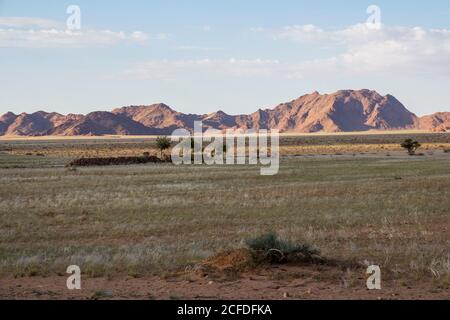 Paysage désertique à Sesriem / Sossusvlei dans la lumière du soir, Namibie Banque D'Images