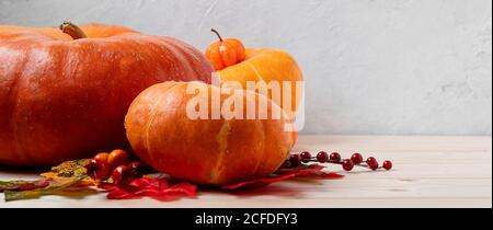 Citrouilles, baies et feuilles mortes sur fond de bois. Copier l'espace pour le texte. Halloween, jour de Thanksgiving ou automne saisonnier. Maquette de conception Banque D'Images