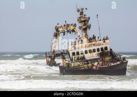 Épave de Zeila / navire fantôme sur la côte de Skeleton près de la baie de Henties, Namibie Banque D'Images