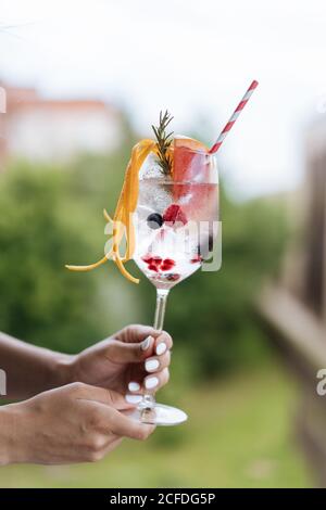 femelle non reconnaissable portant un gobelet de boisson alcoolisée froide avec des baies et pamplemousse décoré de brindilles de romarin et de zestes d'orange Banque D'Images