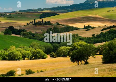 Europe, Italie, San Quirico, Agriturismo Poggio Covili, Toscane, Paysage toscan, Castiglione d'Orcia, province de Sienne, Banque D'Images