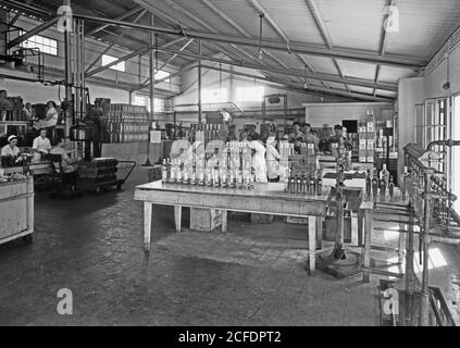 « Original Caption: Usines juives en Palestine sur la plaine de Sharon et le long de la côte jusqu'à Haïfa. Haïfa. L'huile « Shemen » fonctionne. Vue de Gen[eral] de l'emballage de pétrole dep't [i.e. département] - lieu: Israël--Haïfa ca. 1939' Banque D'Images