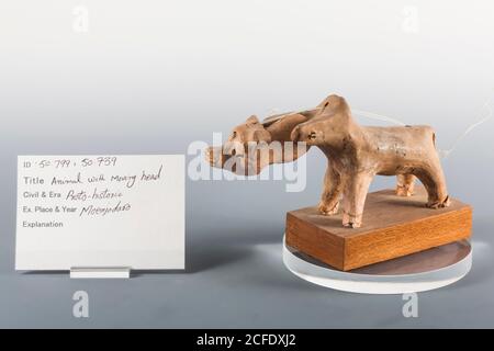 Animal d'argile avec tête mobile, Mohenjo daro, Indus Valley Civilization  Gallery, Musée national du Pakistan, Karachi, Sindh, Pakistan, Asie du Sud,  Asie Photo Stock - Alamy