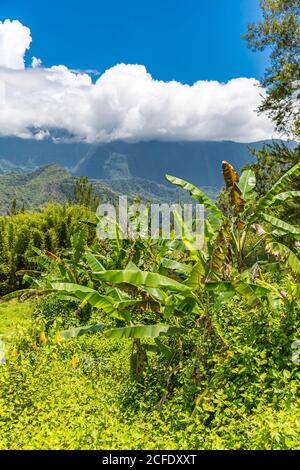 ViewPoint point du jour Enfer Bourg, Cirque de Salazie volcan, Hell-Bourg, Ile de la Réunion, France, Afrique, Océan Indien Banque D'Images