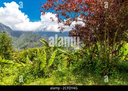 ViewPoint point du jour Enfer Bourg, Cirque de Salazie volcan, Hell-Bourg, Ile de la Réunion, France, Afrique, Océan Indien Banque D'Images