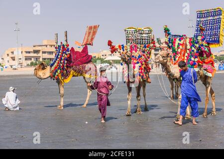 Chameaux touristiques décorés à Clifton Beach, Karachi, Sindh, Pakistan, Asie du Sud, Asie Banque D'Images