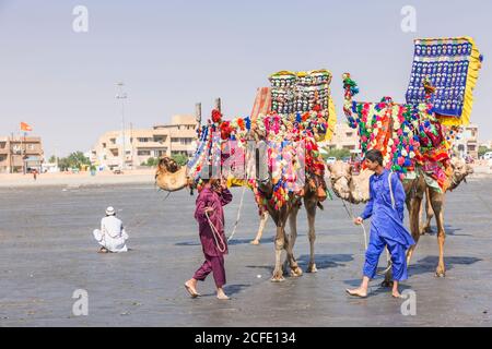 Chameaux touristiques décorés à Clifton Beach, Karachi, Sindh, Pakistan, Asie du Sud, Asie Banque D'Images