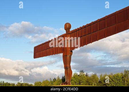 Le monument emblématique Ange de la statue du Nord à Gateshead, Tyne et Wear. Capturé dans la lumière dorée pour contracter la couleur de la rouille contre le bleu nuageux sk Banque D'Images