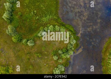 Allemagne, Saxe-Anhalt, Glindenberg, Weiher an der Elbe, zone inondée, vue aérienne avec drone. Banque D'Images