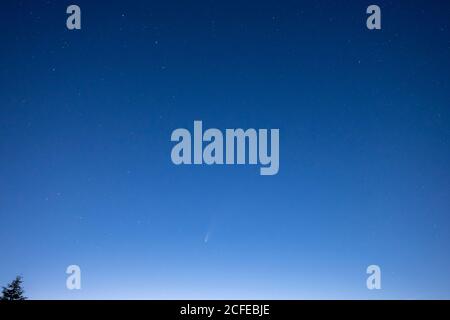 Allemagne, Bade-Wurtemberg, Forêt Noire, Hornisgrinde, C / 2020 F3 (NEOWISE) une comète qui a été observée à l'été 2020. Banque D'Images