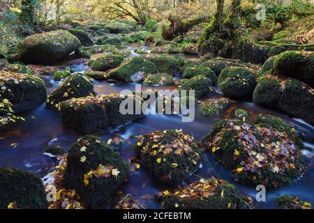 La gorge Toul Goulic est une forêt rustique au coeur de la Bretagne. Un ruisseau traverse la gorge étroite et a lavé des blocs de granit Banque D'Images