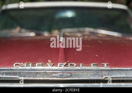 Épave d'un vieux Chevrolet, détail. Banque D'Images