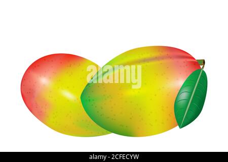 Fruit de mangue isolé sur fond blanc. Mangue mûre réaliste jaune, rouge, verte avec feuille verte. Fruitage exotique tropical. Illustration du vecteur de stock Illustration de Vecteur