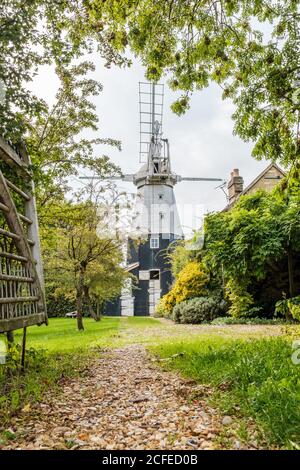 Impington Mill, Histon, Cambridgeshire. Un moulin à bois blanc hexagonal de 2 étages sur une base en briques de 3 étages. Construit en 1776. Banque D'Images