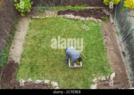 jardinier anonyme en gants plantant des semis verts dans le jardin Banque D'Images
