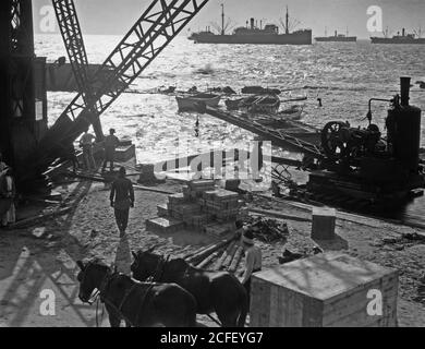 Histoire du Moyen-Orient - Construction de la jetée de Jaffa. Grues sur les quais de Jaffa. Effet de rétro-éclairage inhabituel Banque D'Images