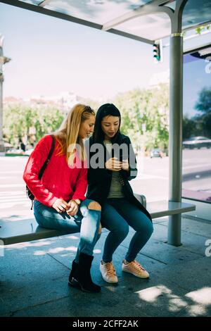 Jeunes femmes multiraciales qui naviguent sur un smartphone tout en étant assis sur un banc de arrêt de bus Banque D'Images