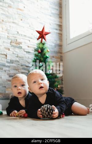 Adorable bébé jumeaux en pyjama jouant avec des boules et conifères Cône tout en étant couché sur le sol près de l'arbre de Noël à la maison Banque D'Images