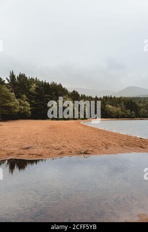 Paysage paisible et pittoresque de plage de sable et de forêt verte à Lac en Écosse avec des montagnes brumeuses en arrière-plan sur ciel nuageux jour avec ciel gris Banque D'Images