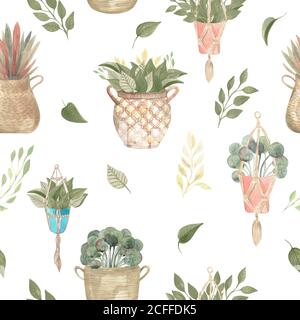 Motif sans couture de plantes de boho et de fleurs intérieures dans des paniers et des pots suspendus. Aquarelle illustration décor moderne maison sur fond blanc Banque D'Images