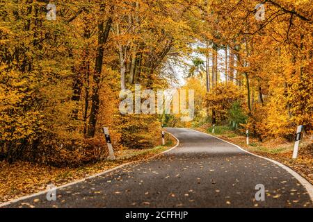 Une route sinueuse avec des chutes lâches laisse à travers les arbres d'automne en allemagne rhénanie palantino. Banque D'Images