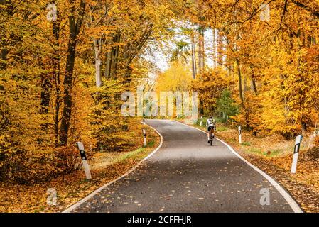 cycliste sur une route sinueuse avec des feuilles d'automne volantes à travers les arbres d'automne en allemagne rhénanie palantino. Banque D'Images