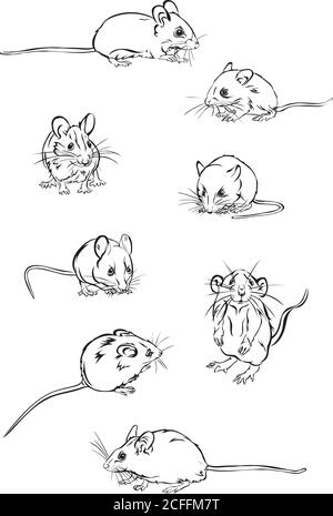Souris, rat, diverses poses, mouvements et angles de figures, noir, silhouette, ensemble, vecteur, illustration, couleur, diverses poses, mouvements Illustration de Vecteur