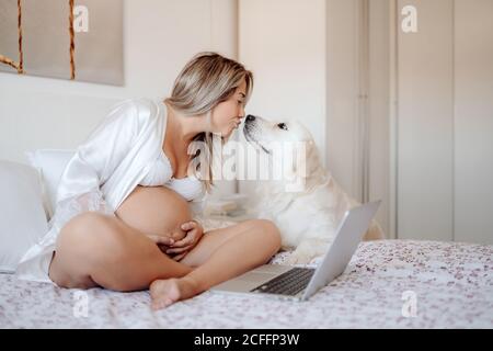 Femme enceinte blonde souriante avec chemise et soutien-gorge blancs ouverts taper sur un ordinateur portable tout en étant assis à la maison sur le lit avec jambes croisées et tête de chien du labrador debout à côté et regarder l'appareil photo Banque D'Images