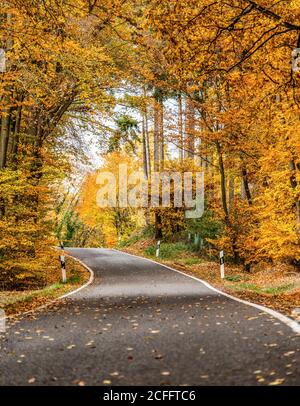 Une route sinueuse avec des chutes lâches laisse à travers les arbres d'automne en allemagne rhénanie palantino. Banque D'Images