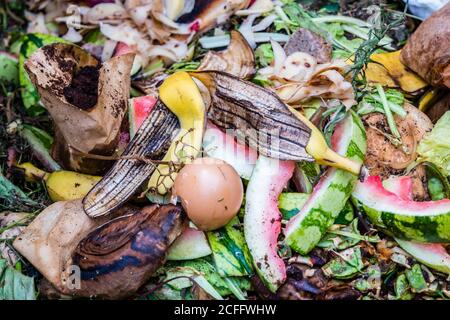 déchets biologiques dans le jardin Banque D'Images