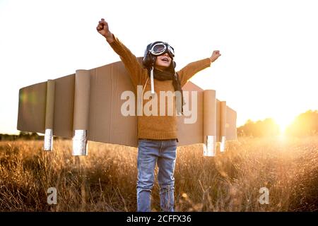 Joyeux enfant dans des lunettes et des ailes en carton levant les mains pendant jeu sur le terrain en rétroéclairage Banque D'Images