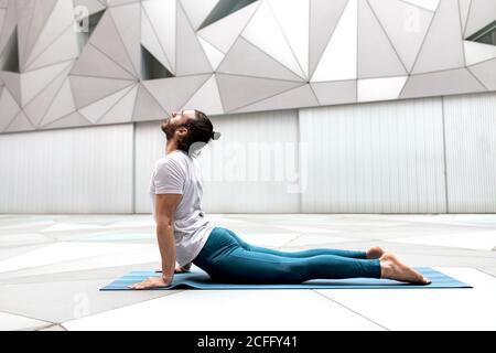 Vue latérale de l'homme flexible pieds nus dans les vêtements de sport faisant vers le haut Faites de l'exercice en face des chiens dans une chambre spacieuse avec des murs géométriques et sol Banque D'Images