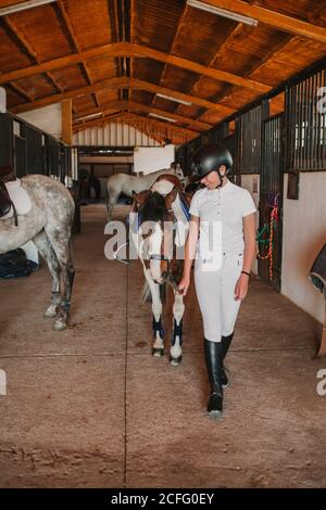 Jeune femme adolescente en tenue blanche et casque jockey menant le cheval hors de la cabine pour l'équitation à l'extérieur Banque D'Images