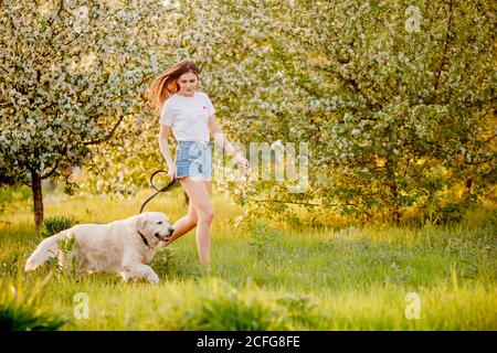 Woman court avec le chien du labrador dans le parc d'été, concept de jouer au sport avec l'animal Banque D'Images