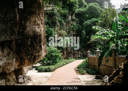 Paysage étonnant de passerelle en pierre menant à travers le jardin avec la montagne Et des plantes exotiques le jour ensoleillé au Vietnam Banque D'Images