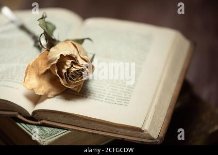 Pile de livres et de fleurs séchées sur une table en bois Banque D'Images