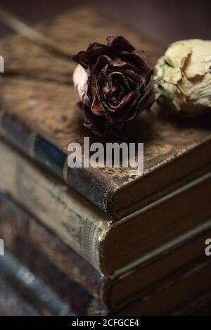 Pile de livres et de fleurs séchées sur une table en bois Banque D'Images