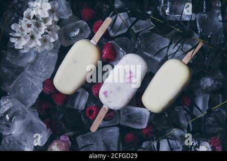 Vue de dessus encore la vie de la variété crémeuse framboise et de la vanille popsicles placé sur le dessus de cubes de glace, fruits congelés et fleurs fond Banque D'Images